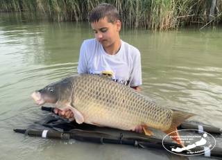 BALATONI REKORDPONTYOK