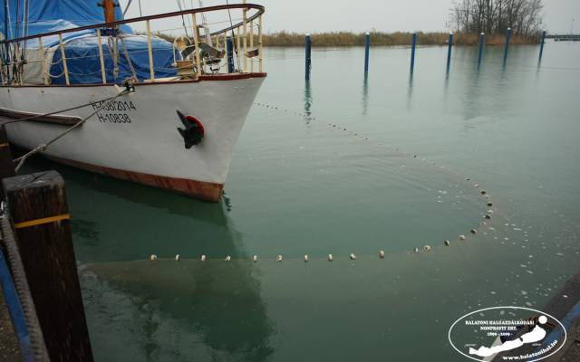 Téli törpeharcsa halászat Csopakon